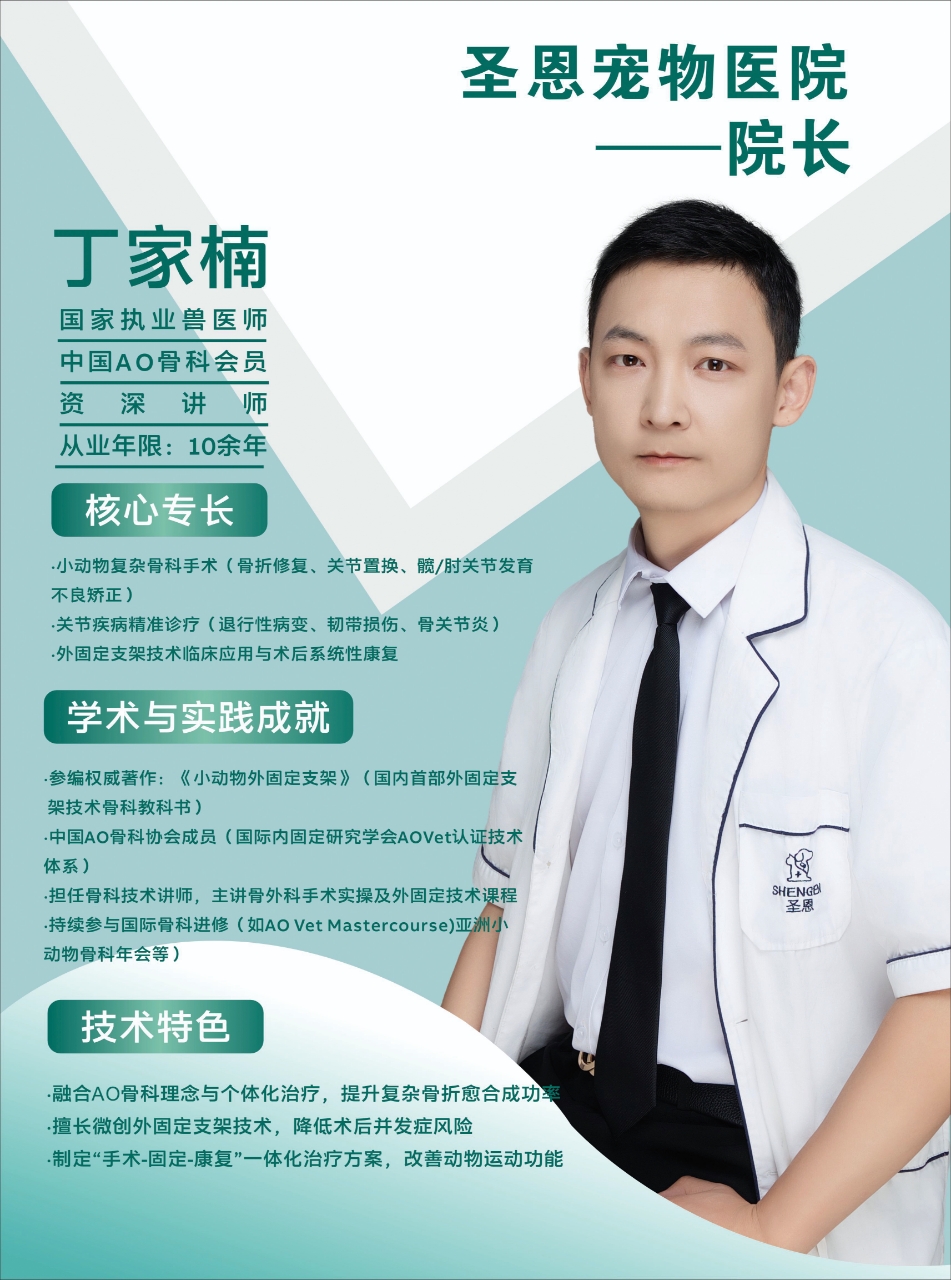 丁家楠