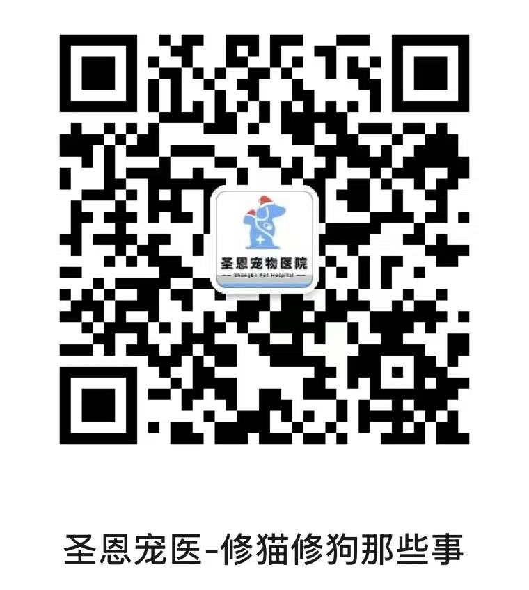 小程序二维码